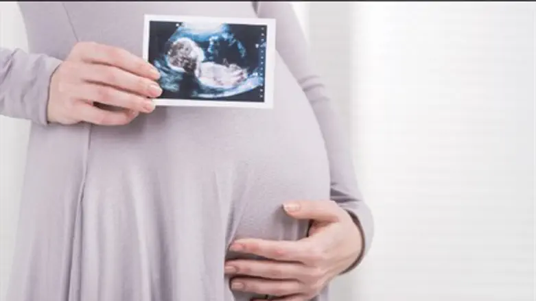 תרמיל של אופטימיות