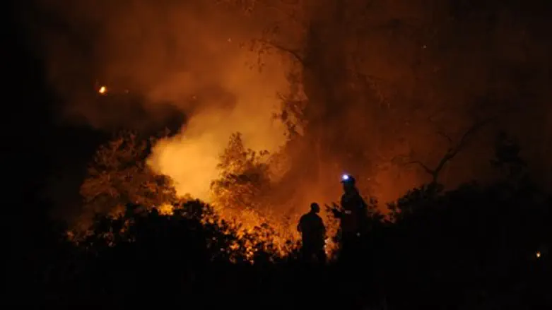 Firefighters in Hacarmel forest