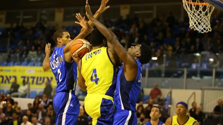 נתקע בתוך סבך. סוואן מול הרצליה