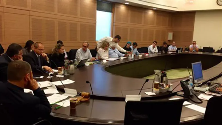 דיון בוועדת הכלכלה