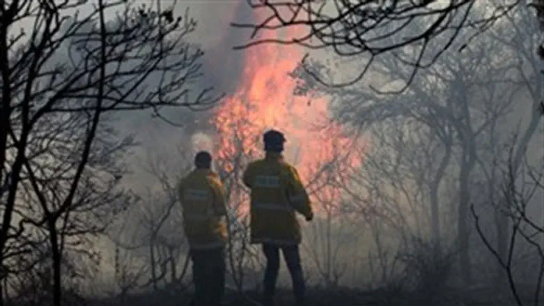 האסון בכרמל