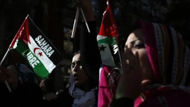 Protest for Western Sahara independence