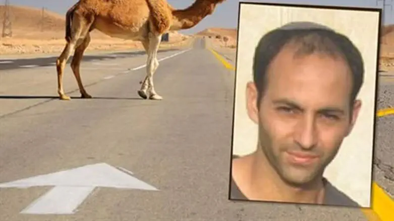  Давид Коэн (ז"ל)