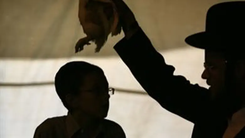 משלימים היערכויות אחרונות