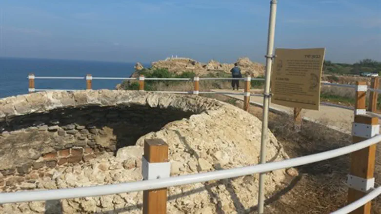 אפולוניה- הכל שודרג