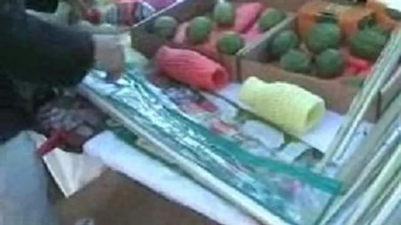 ארבעת המינים