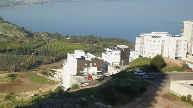 פרויקט ברקת של אבני דרך