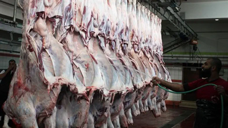 פיקוח מוגבר. בית מטבחיים