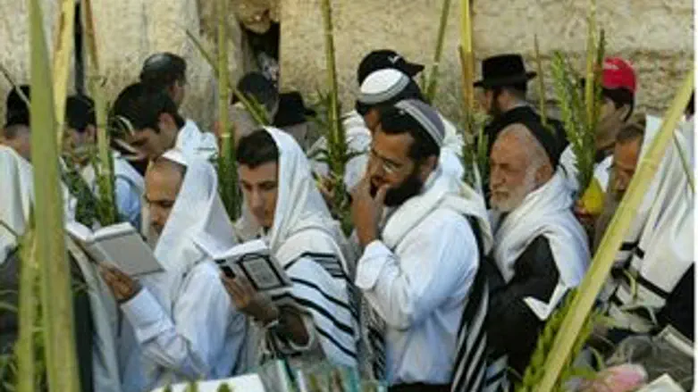 מצוות החג ארבעת המינים