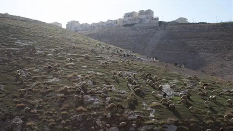 E1 land, between Jerusalem and Maale Adumim