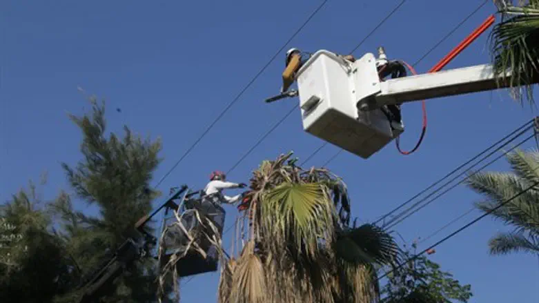 גיזום עצים ברעננה