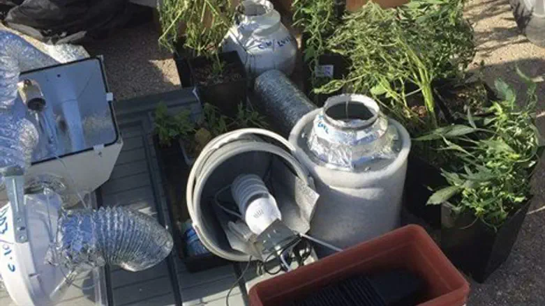 מעבדת הסמים שנחשפה.