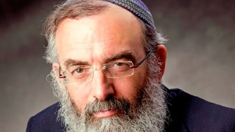 הרב דוד סתיו 