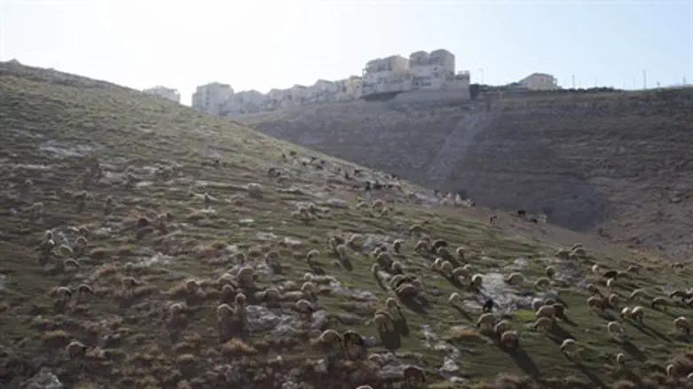 E1 land, between Jerusalem and Maale Adumim