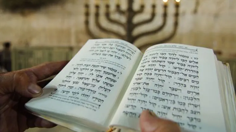 אילוסטרציה