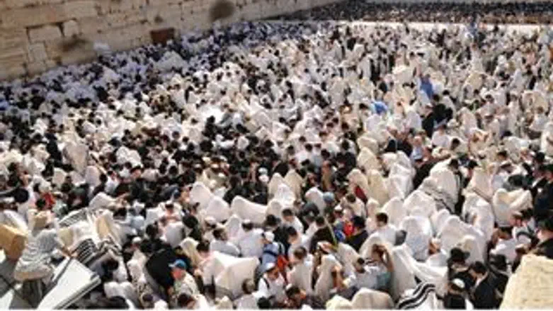 סוכות בכותל