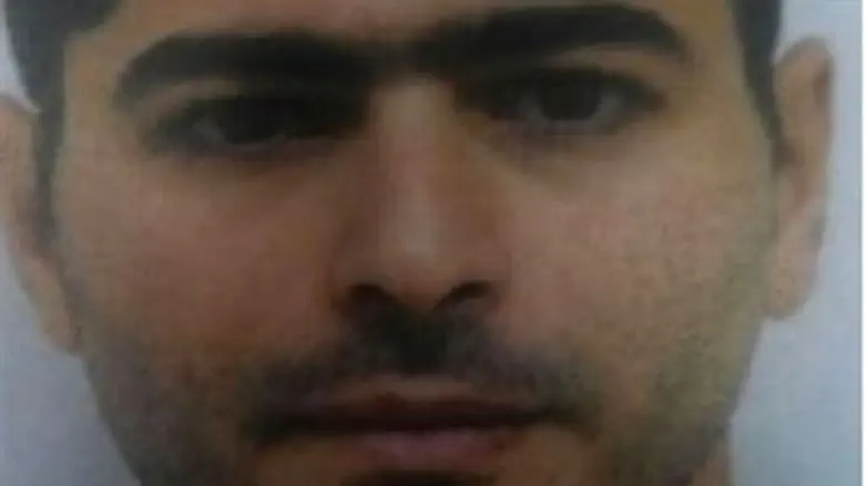 נשאת מלחם. התמונה המעודכנת