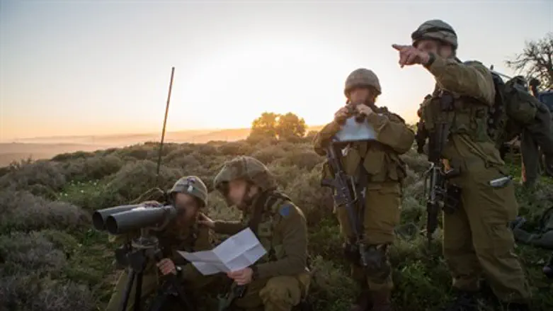 Field intelligence in action.