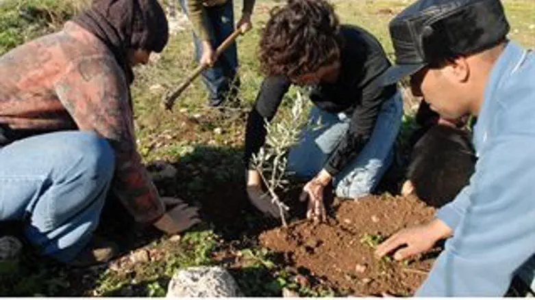 ליבוי יצרים