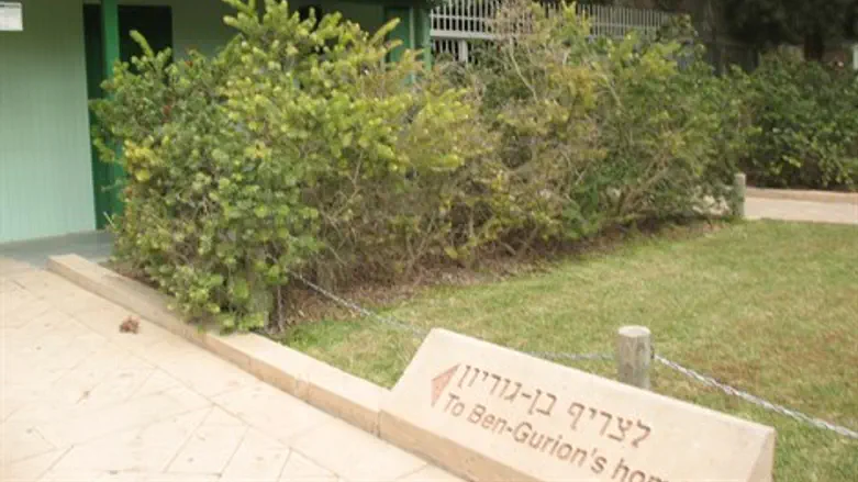 צריף בן גוריון