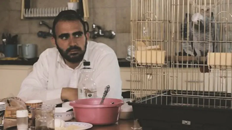 תוכי עם דיכאון. מתוך הסרט 'ערירי'