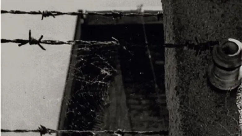 בעיני ילדה בת 12