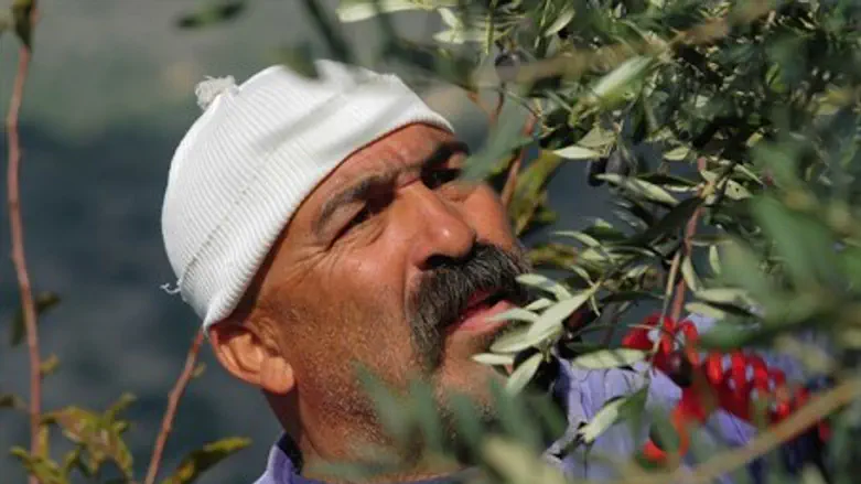 Druze farmer
