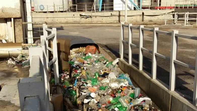 מפנים את האשפה ברוטנברג