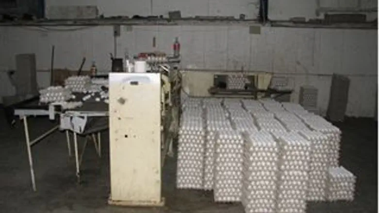 הביצים שנתפסו במכון