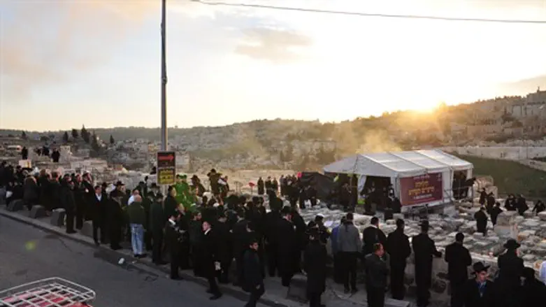 הילולת הרש"ש. אתמול