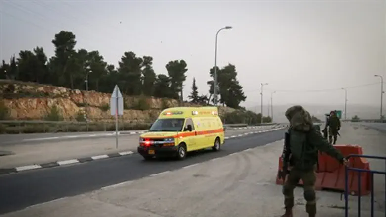 Magen David Adom Ambulance (illustration)