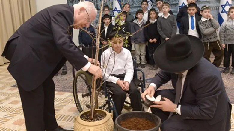 בבית הנשיא, היום