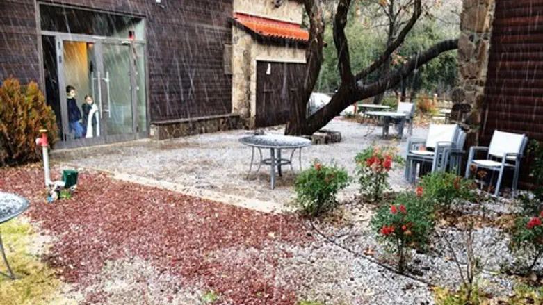 פתיתי שלג במרום גולן