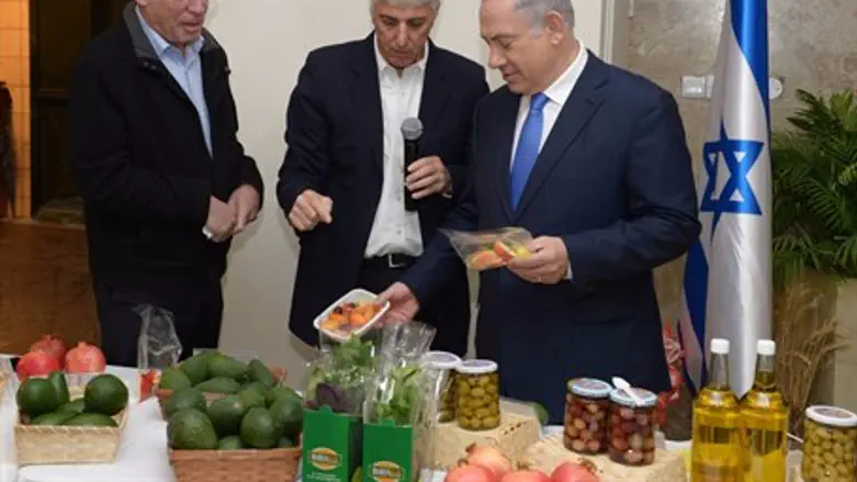 Уникальная продукция в Центре Волкани