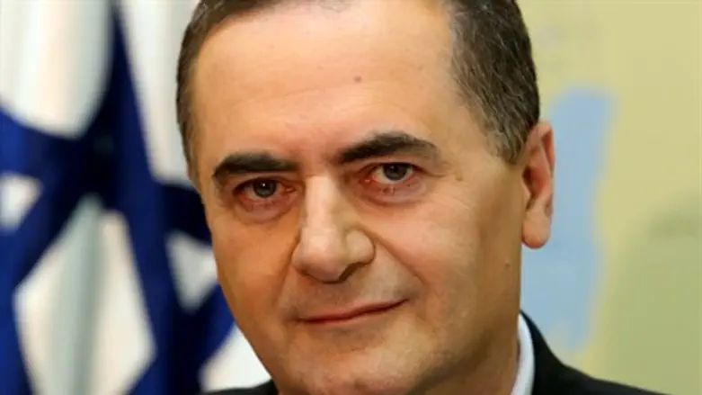 השר ישראל כץ