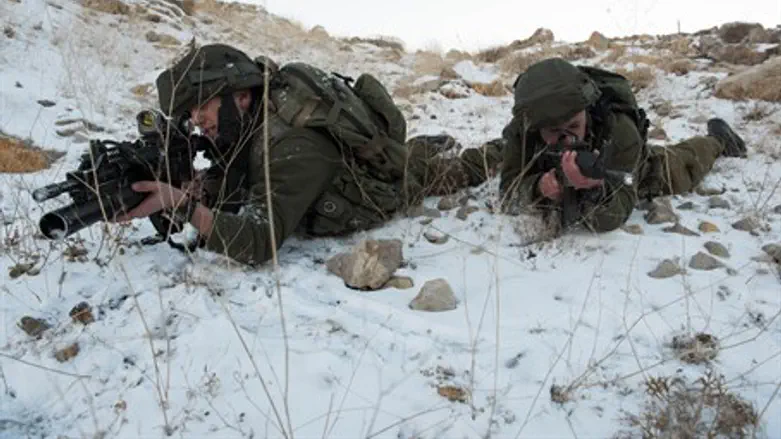 IDF soldiers operate in snow