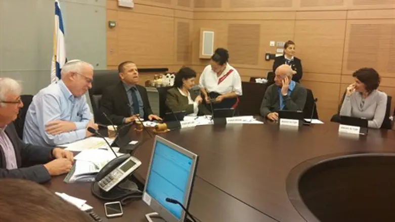 השר אריאל בוועדה