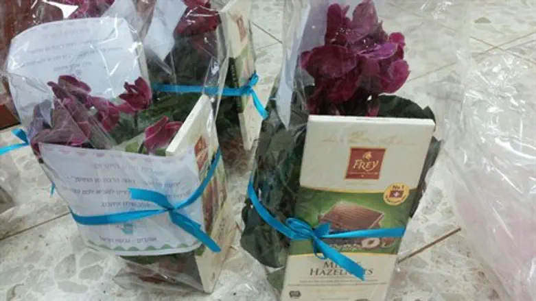 ערבות הדדית