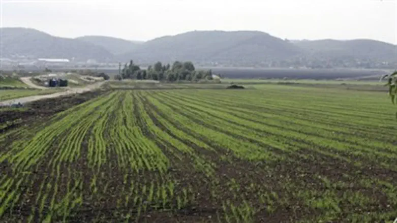 Damage from Winter storm (illustration)