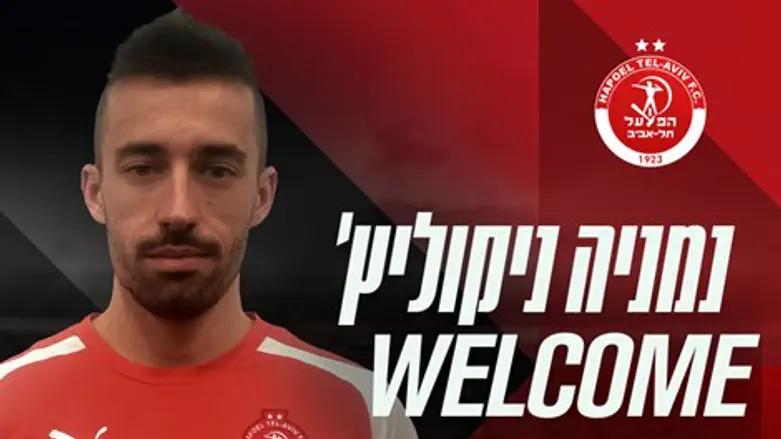 זר שני תוך יממה. נמניה ניקוליץ'