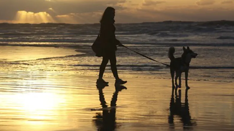 Закат на тель-авивском побережье