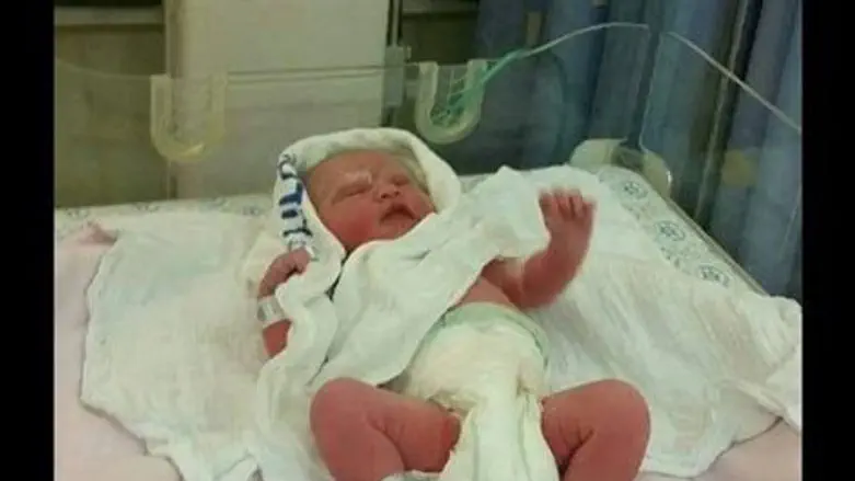 הדר ארבוס תבלט"א