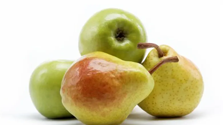 המזון הטוב ביותר לאדם