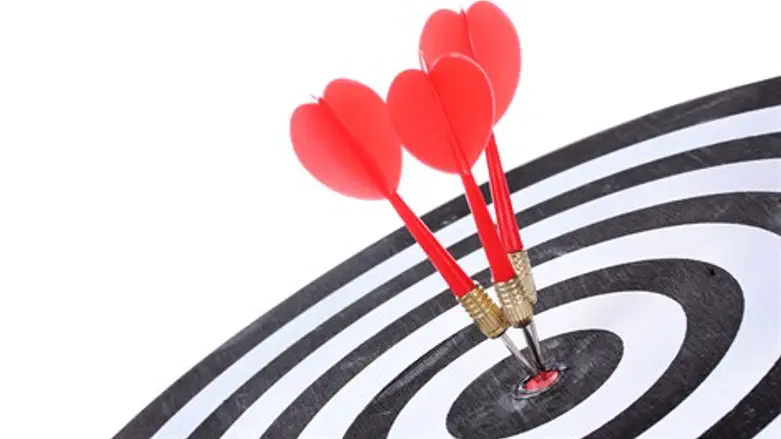 הצבת מטרות ברורות