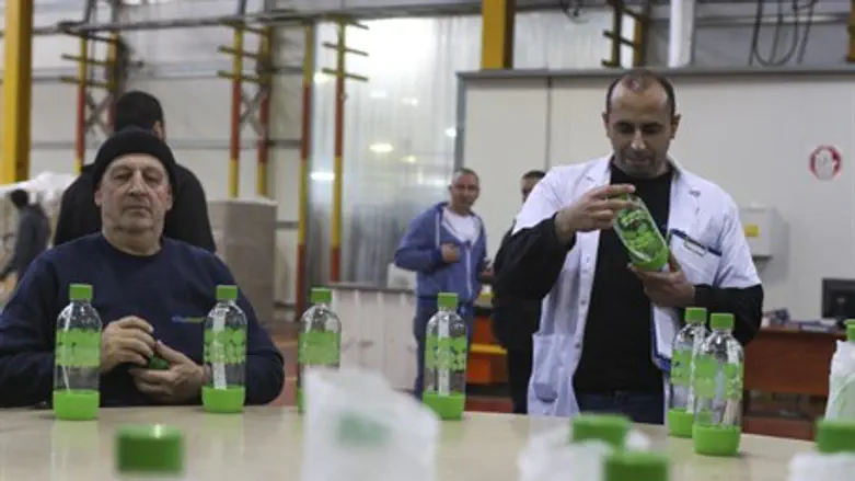 Арабские рабочие SodaStream