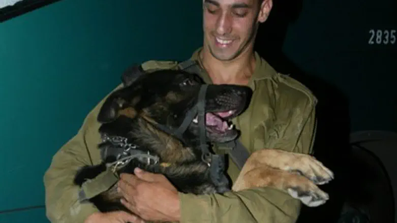 Боец подразделения К9 "Окец" (Иллюстрация)