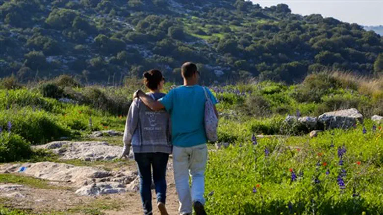 Lupin Hill, Ela Valley