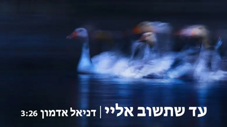 עד שתשוב אליי