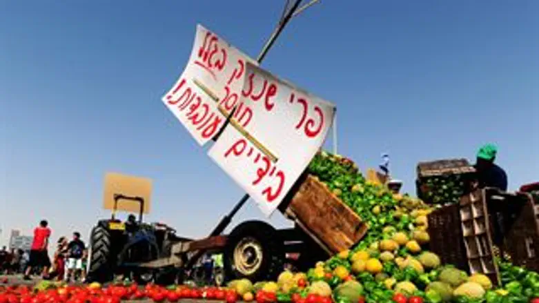 "אין ידיים עובדות לקטיף"