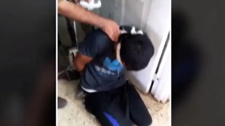 מעשה חמור אבל בואו לא נגזים